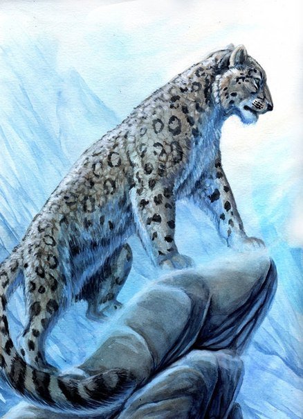 белый леопард - кошка, зима, леопард, снег, животные - оригинал