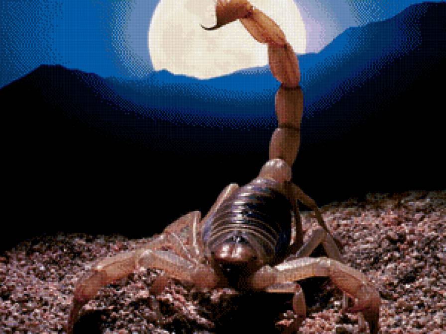 скорпион - зодиак - предпросмотр
