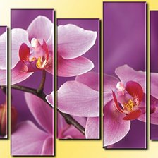Схема вышивки «триптих сиреневые орхидеи»