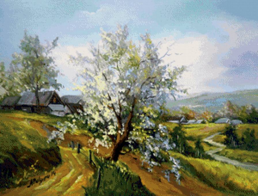 цветущая вишня - деревня, село, весна, цвет, пейзаж, вишня, природа, живопись - предпросмотр
