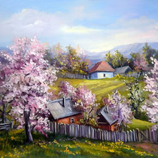 цветущие абрикосы в деревне