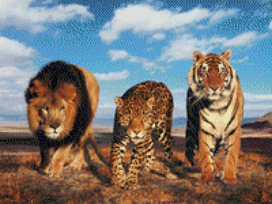 семейство кошачьих - лев, тигр, гепард, леопард, кошки - предпросмотр