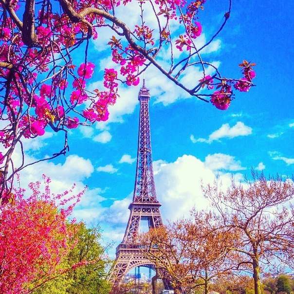 №819561 - пейзаж, эйфелева башня, париж, города, столицы, франция - оригинал