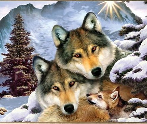 Волки и волчонок - животные, анималистика - оригинал