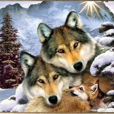 Оригинал схемы вышивки «Волки и волчонок» (№820015)