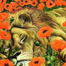 Оригинал схемы вышивки «спящий лев в маках» (№820966)