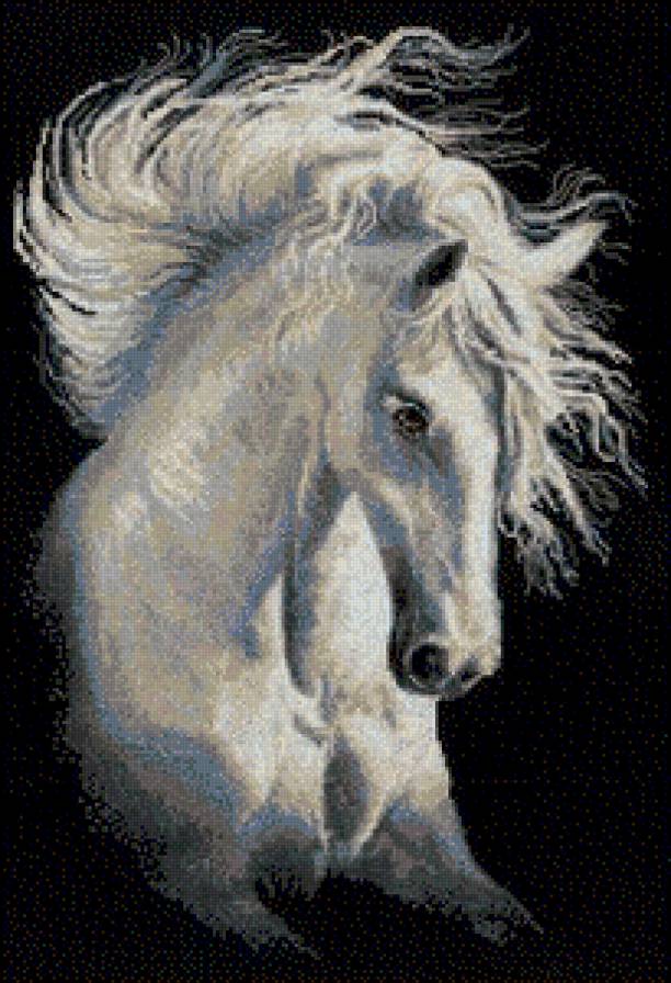 Андалузский характер - конь, лошадь, грива - предпросмотр