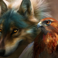 волк и орёл