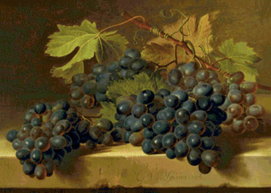 виноград на ветке - виноград, натюрморт, фрукты, ветка, кухня, еда - предпросмотр