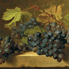 Оригинал схемы вышивки «виноград на ветке» (№822273)