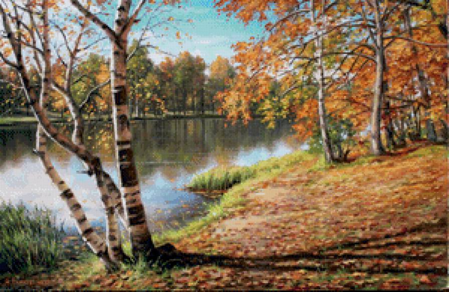 берёзы осенью - река, живопись, береза, осень, лес, дерево, озеро, пейзаж - предпросмотр