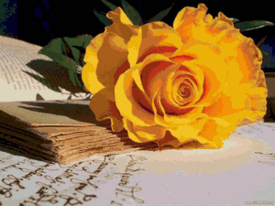 Желтая роза на книге - предпросмотр