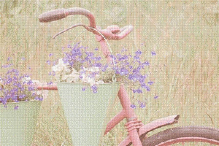 Прованс - поле, прованс, велосипед, цветы, луг - предпросмотр