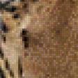 Предпросмотр схемы вышивки «леопард» (№824503)