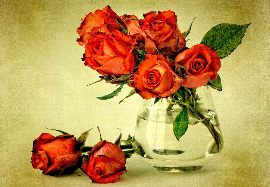 розы в стеклянной вазе - букет, натюрморт, цветы, роза, живопись, ваза - оригинал