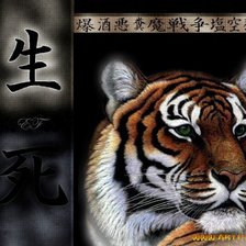 Оригинал схемы вышивки «тигр» (№825313)