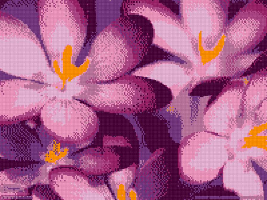 Фиолетовый крокус - цветы, фиолетовый - предпросмотр