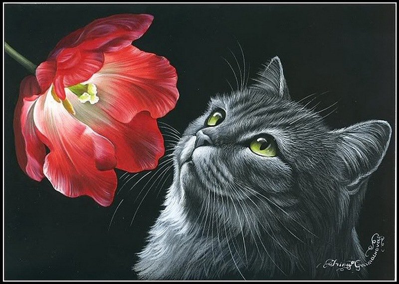 котейка - природа кошка, кот, ночь, цветок - оригинал