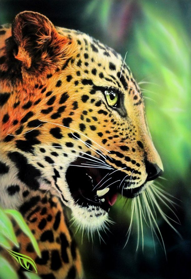 Леопард - хищник, дикие кошки, животные - оригинал