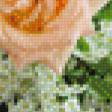 Предпросмотр схемы вышивки «Розы» (№828770)