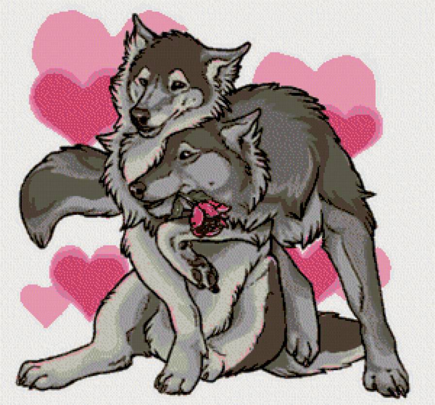 Пара волков 01 - любовь, животные, пара, волки, звери - предпросмотр