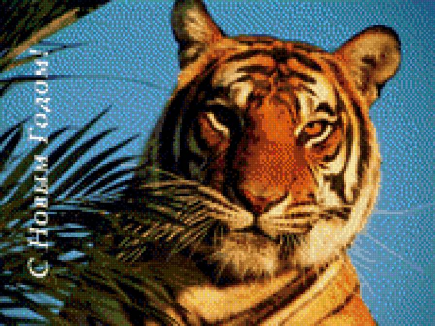 год тигра - открытки - предпросмотр