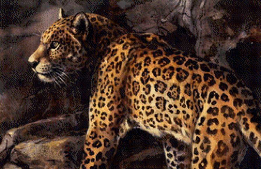 Леопард - леопард, хищник, животные - предпросмотр