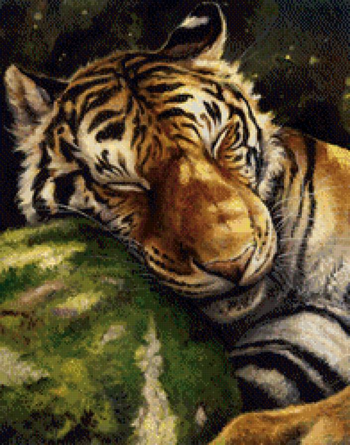 Тигр - хищник, сон, животные, тигр - предпросмотр
