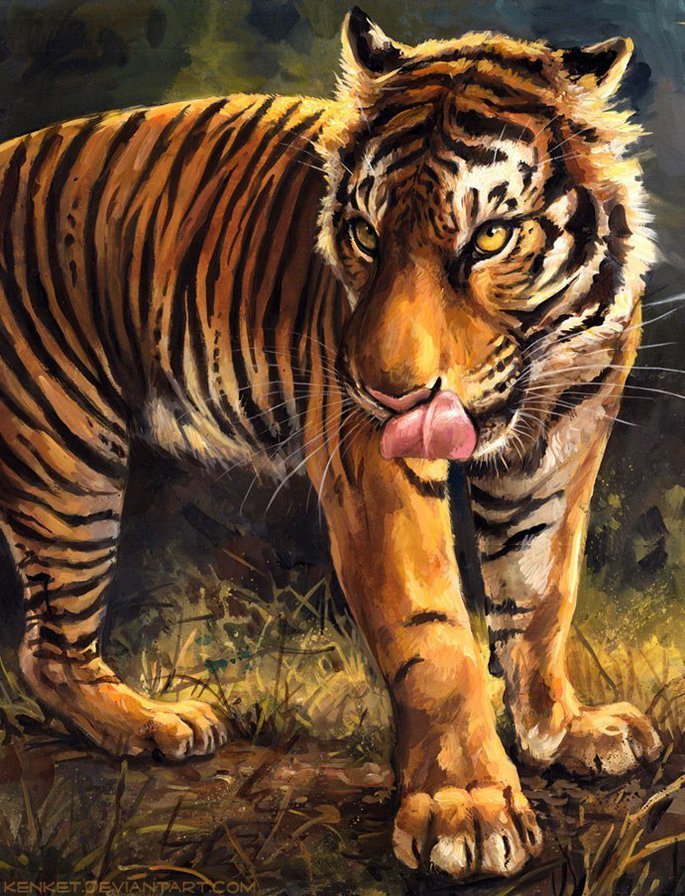 Тигр - хищник, тигр, животные - оригинал