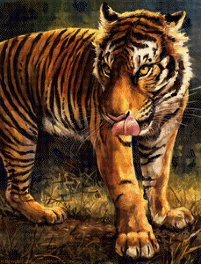 Тигр - хищник, тигр, животные - предпросмотр