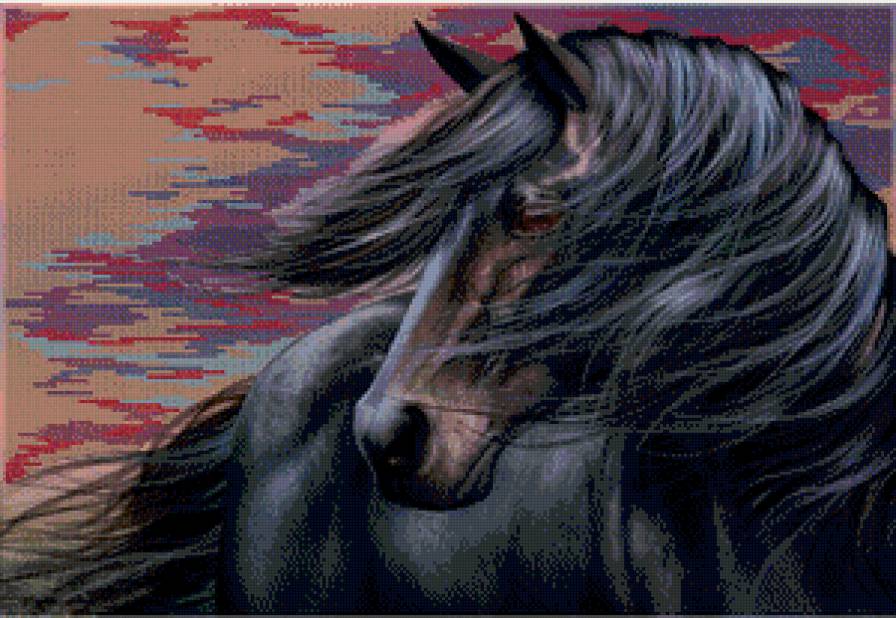 черный конь - животные, лошади - предпросмотр