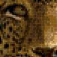 Предпросмотр схемы вышивки «Леопард» (№830453)