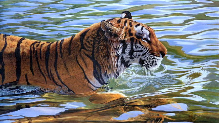 тигр - дикие животные, тигр, картина - оригинал