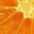 Предпросмотр схемы вышивки «апельсинчики» (№830975)