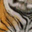 Предпросмотр схемы вышивки «тигры» (№832093)