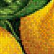 Предпросмотр схемы вышивки «Лимоны. Для кухни.» (№832238)