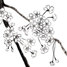 Схема вышивки «цветы сакуры»