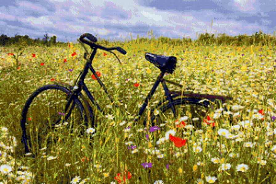 лето летнее - луг, лето, цветы, велосипед - предпросмотр