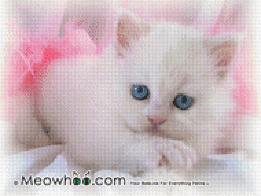 котя - котенок, розовый, белый - предпросмотр