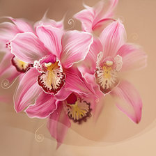 Оригинал схемы вышивки «Розовая орхидея» (№834115)