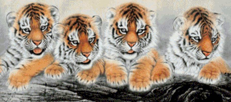 Тигрята - животные, дикие кошки, тигренок, тигр - предпросмотр