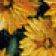 Предпросмотр схемы вышивки «жёлтые цветы» (№835363)
