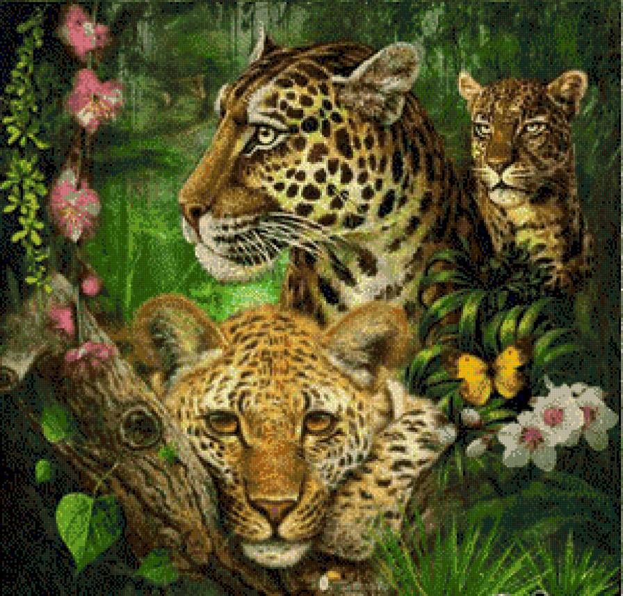 хищные кошки - леопард, животные - предпросмотр
