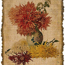 Оригинал схемы вышивки «хризантема на мешке» (№836559)