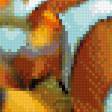 Предпросмотр схемы вышивки «рыбки клоун» (№836603)