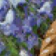 Предпросмотр схемы вышивки «полевые цветы» (№837306)