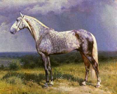 лошади - животние - оригинал