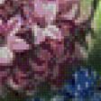 Предпросмотр схемы вышивки «гиацинты и тюльпаны» (№838145)