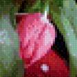 Предпросмотр схемы вышивки «разноцветные тюльпаны» (№839078)