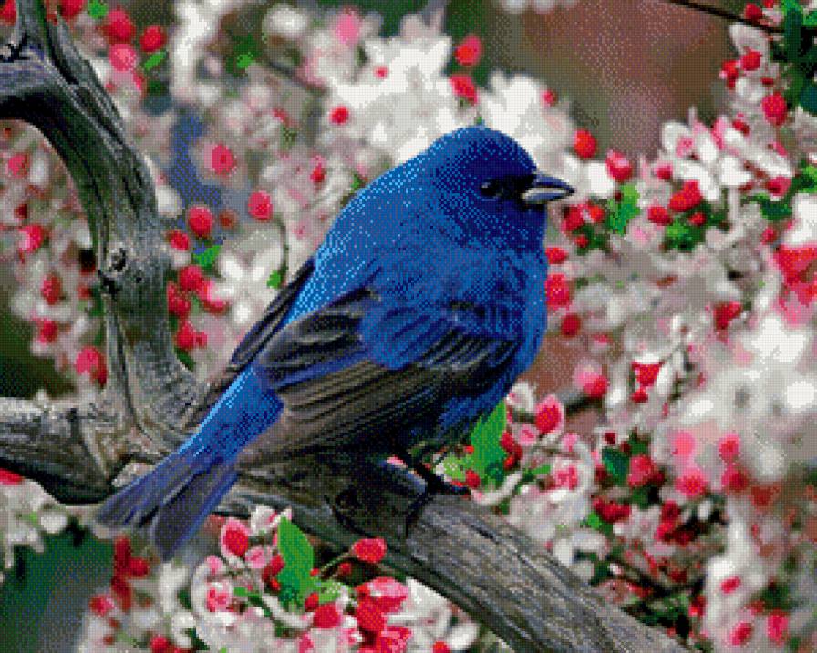 синий комочек - природа, птица - предпросмотр
